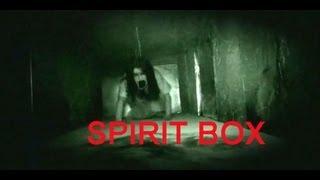 Haunted Insane Asylum | Spirit Box | Ovilus