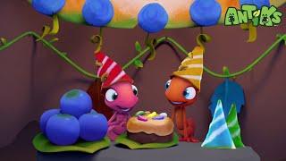 The TINY Ant Birthday Party! | Antiks  | Action Cartoons For Kids