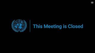 Служба новостей ООН Live Stream