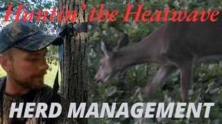 Doe Hunt In Crazy Heat Wave | Early October Doe Hunt