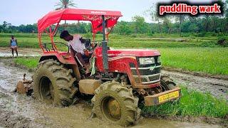 Mahindra yuvo Tech plus 585Di 4wd Special edition New lounch tractor puddling wark in deep water mud