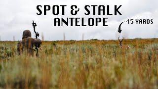 THE STAND OFF | SPOT AND STALK ARCHERY ANTELOPE