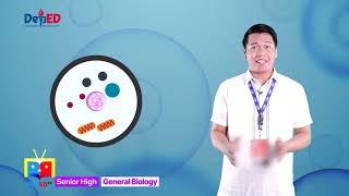 SHS GENERAL BIOLOGY Q1 Ep1: The Cell Cycle