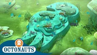 Octonauts - The Biggest Crab Ever | Triple Special | Cartoons for Kids