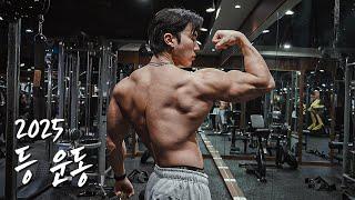 넓은 등을 만들어준 루틴 | 2025년 등 운동 루틴