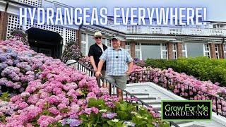 Come With Us to the Cape Cod Hydrangea Festival ⭐️ You Will Be Inspired by these Garden Designs