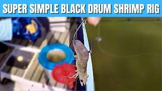 How To Catch Black Drum With THIS Simple Shrimp Rig