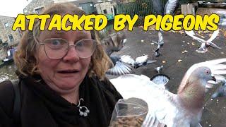 Solo Boat Ride & ATTACKED By Pigeons In SKIPTON