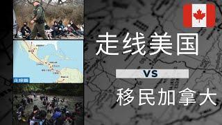 加拿大移民 I 为什么一家四口放弃移民加拿大，选择走线去美国