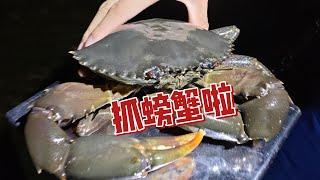 阳光海岸抓螃蟹啦