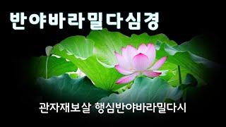 반야심경 독송 범철스님 /  밝은 지혜에 이르는 부처님 말씀 /  21독 확장판