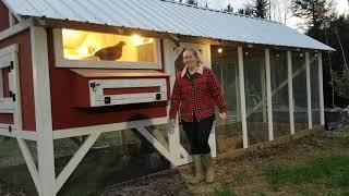 Carolina Coops style DIY chicken coop