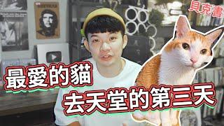 最愛的貓去天堂的第三天【貝克書】