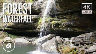 Beautiful Forest Waterfall 4K | Beautiful HD Nature Video | Nature Scenes | Relaxation, Study, Sleep