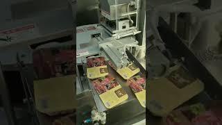 Modified Atmosphere Packing Machine Plus With Printing  Function