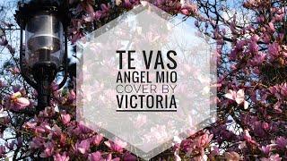 Te Vas Angel Mio || cover by Victoria