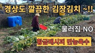 경상도 깔끔한 김장김치~!! 황금레시피 만능육수 Gyeongsang-do Province's clean kimchi !!Golden recipe all-round broth#김장