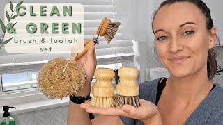  Ditch the Plastic! My Favorite Zero-Waste Dish Brush Set  | Honest Review + Demo
