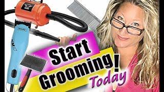 Get Started as a Pet Groomer-Tools You Need