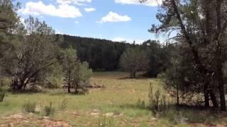 Sierra Verde Ranch Realty- 40 Acre Land For Sale in Northwest Arizona