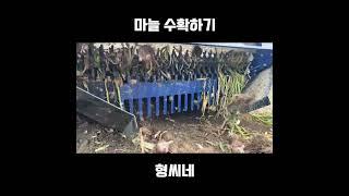 트랙터 마늘 수확기