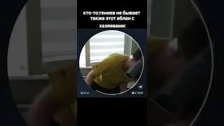 хазяева опять вместе  #short #shorts #fyp #meme #tiktok #хазяева #тикток #мемы #рек #приколы