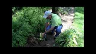 Easy, Earth-friendly "e-pots" by Footprints Plants