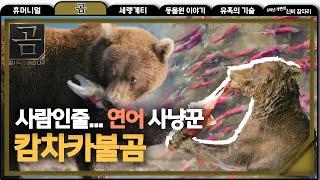 [NATURE] a salmon-eating bear,창사특집 UHD 다큐멘터리곰 20190128