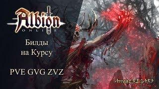 Albion online : Билды на курсу ( проклятый посох ) PVE / GvG / ZvZ