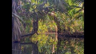 The Best Things To Do In Costa Rica, Central America