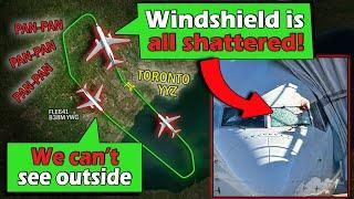 CAPTAIN INJURED ON BIRD STRIKE | Flair B737-8 MAX Emergency Return to Toronto!