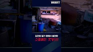 김건희 일가 땅에서 발견한 소름 돋는 장소!