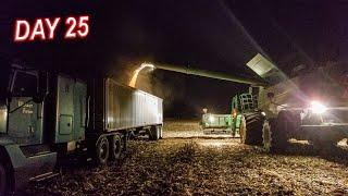 The RUSH Before the BLIZZARD! | HARVEST 19 Day 25