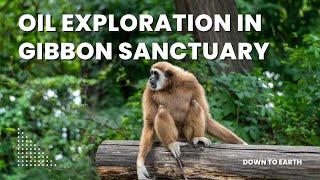 Centre clears oil & gas exploratory drilling in Hollongapar Gibbon Sanctuary