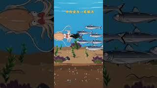 墨鱼的墨汁威力这么强大！熏死了！ #animation #cartoon #funny #動物世界