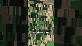 SHORT How Satellite Data is Transforming Agriculture