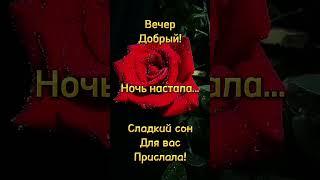 Вечер добрый!
