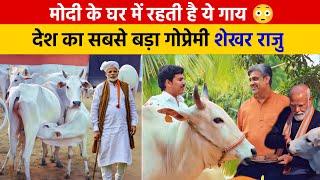 Punganur - World's smallest cow breed  सबसे ताकतवर नस्ल – Hariana || Hyderabad