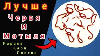 Карась будет в шоке от этой НАСАДКИ! Лучшая насадка вместо Мотыля и Червя!!