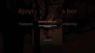 3-avgust, 2024