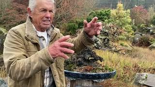 Final Tour of Elandan Gardens With Bonsai Master Dan Robinson