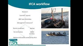 The Management of Whelk & Mussel Fisheries in North Devon