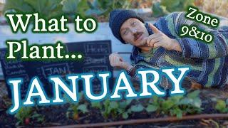 January Planting Guide for Gardeners in Zones 9 & 10