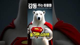 ENG) 내 새끼가 물이 빠지면? 우리 아빠는 북극곰 슈퍼맨│Polar Bear