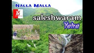saleshwaram Temple
