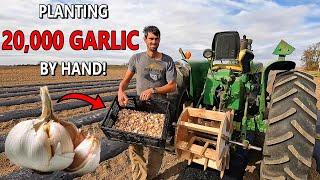 HE Plants 20,000 GARLIC by Hand!