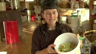 Six preserving methods for apples – permaculture living non monetised