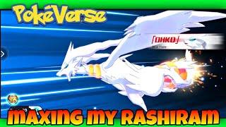 MAXING MY RASHIRAM in Monster Gym Championship | Pokeverse World #pokeverse