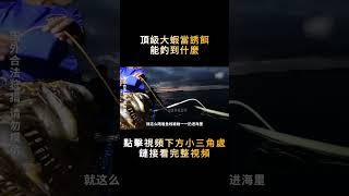 父女倆用上好的大蝦當誘餌，魚餌錢花了好幾千，到底能不能回本？#shorts