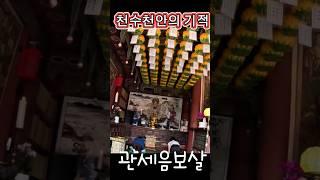 천개의 눈(천안), 천개의 손(천수)으로 중생을 구하시는 #관세음보살